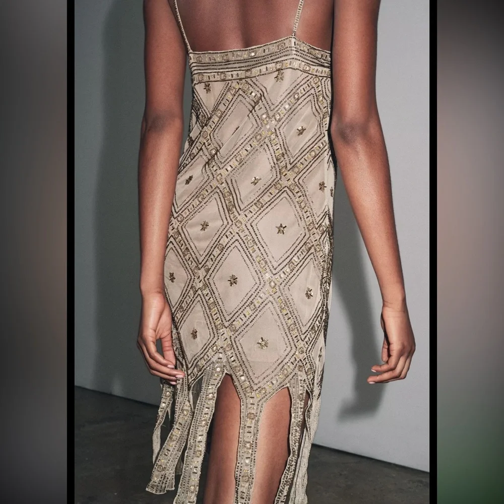 Zara limited edition EMBROIDERED TULLE Mini DRESS - Picture 11 of 15